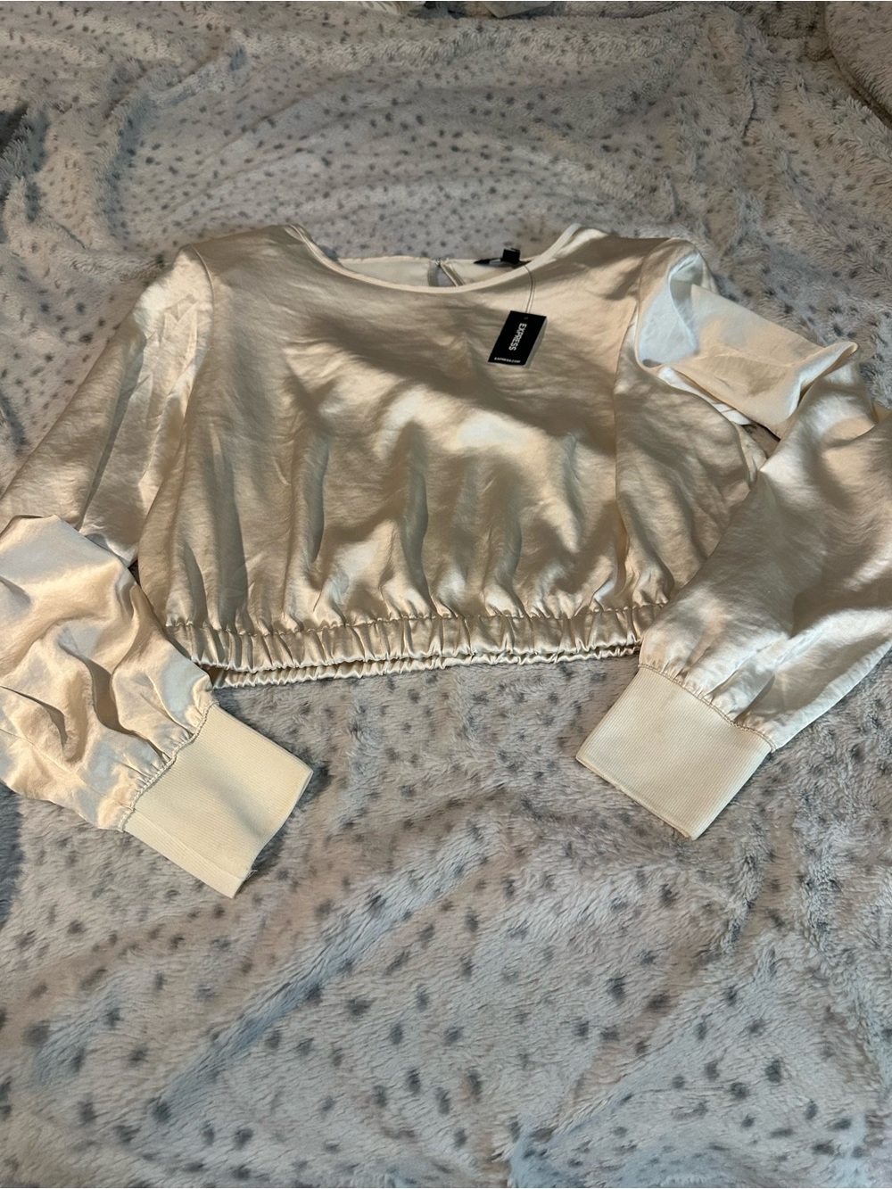 NWT Express Silky Ivory Cropped Long-Sleeve Top